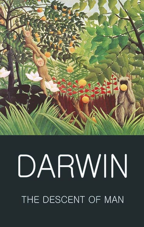 The Descent of Man | Wordsworth World Literature | Book